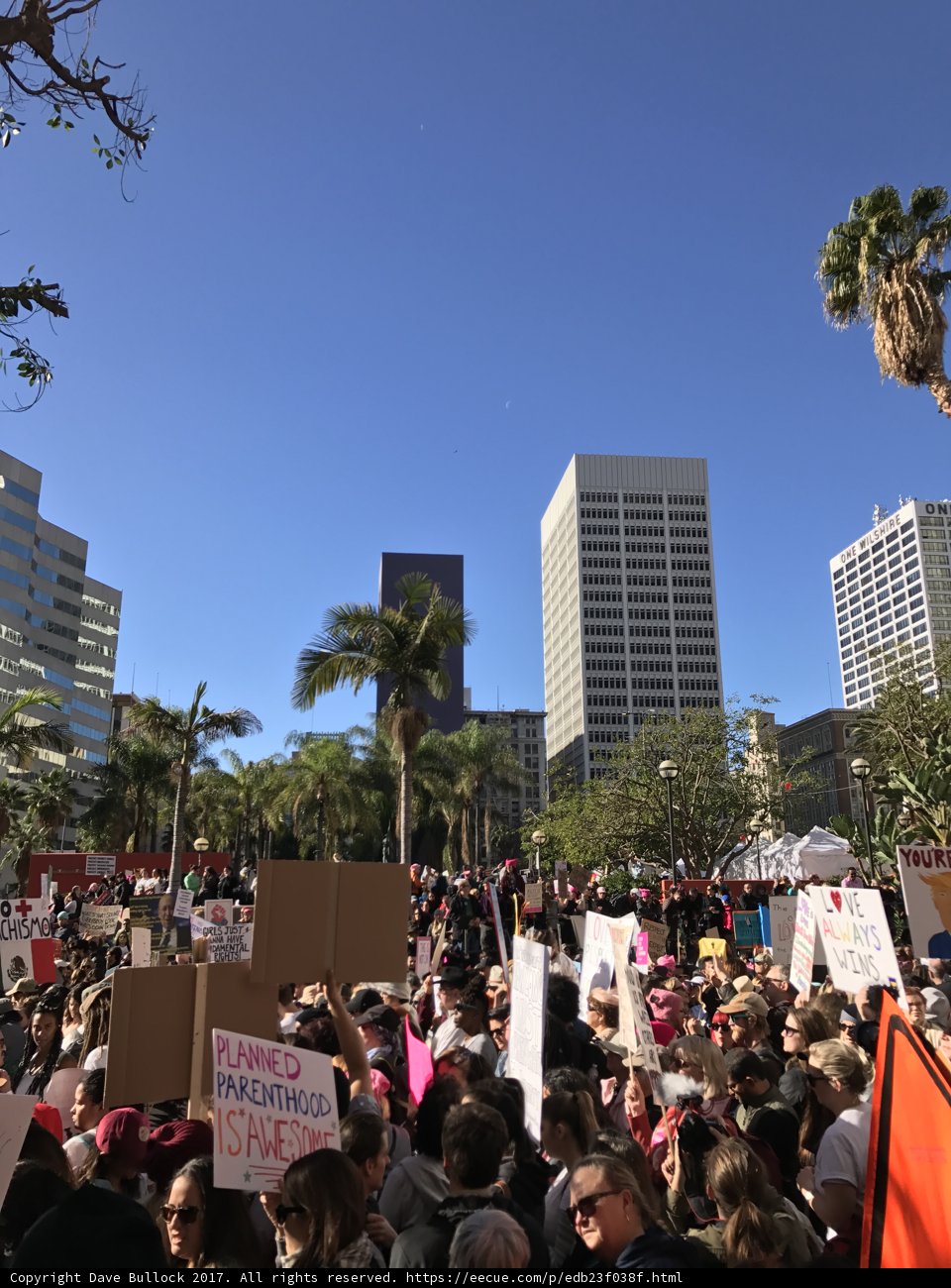 Protest in Metropolis