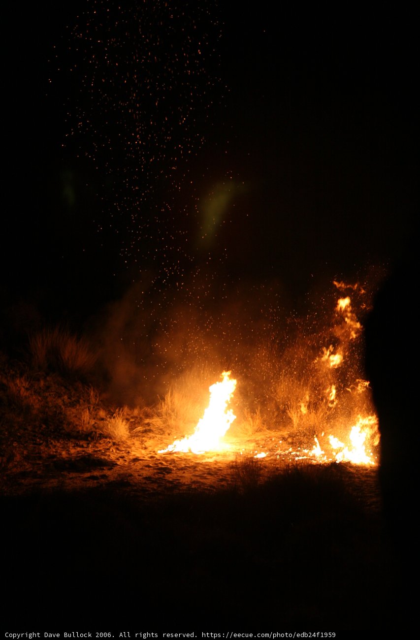 Dancing Flames in the Desert Night