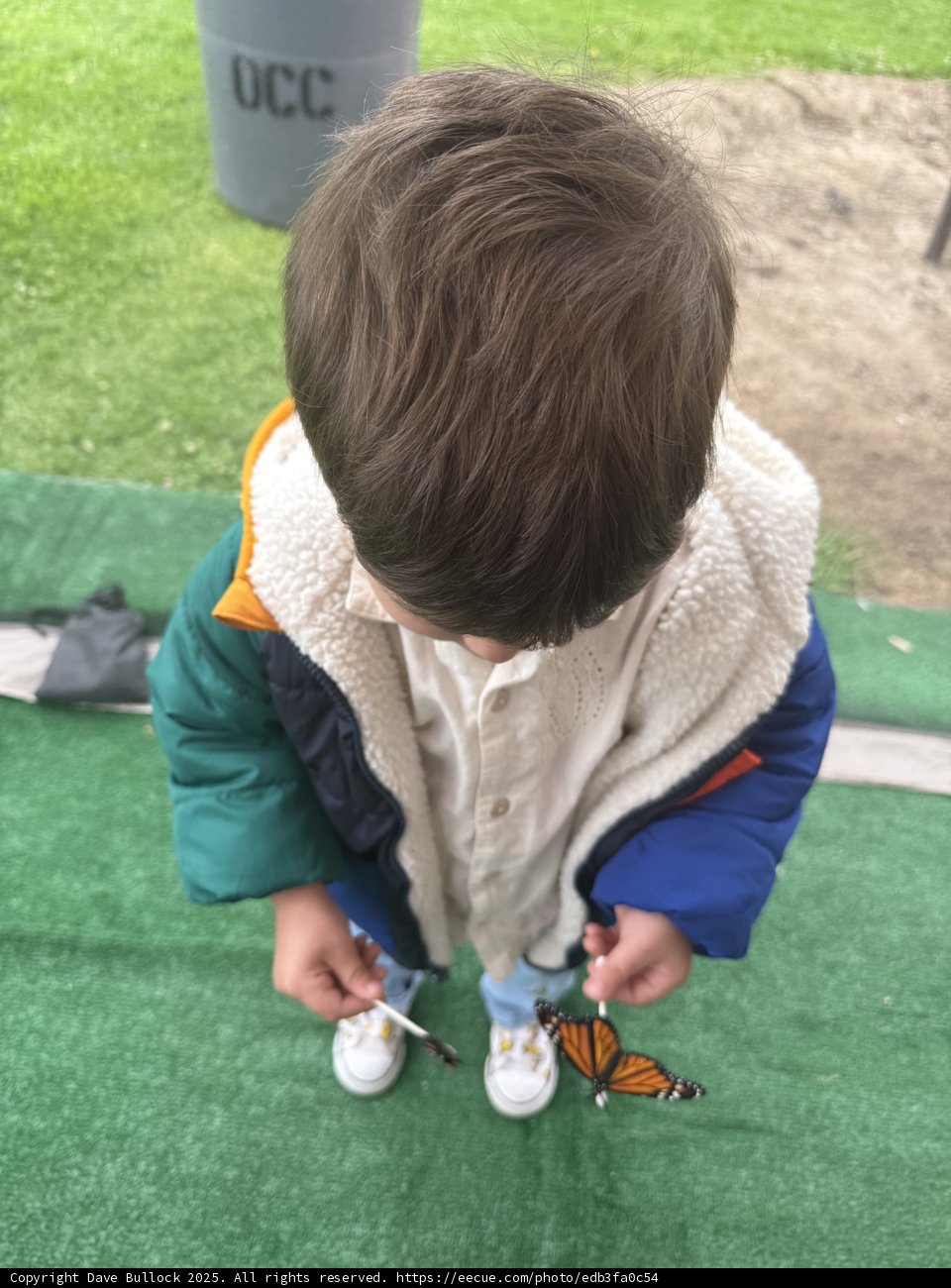 A Moment with Monarchs