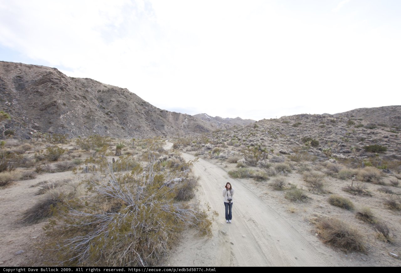 Desert Adventure
