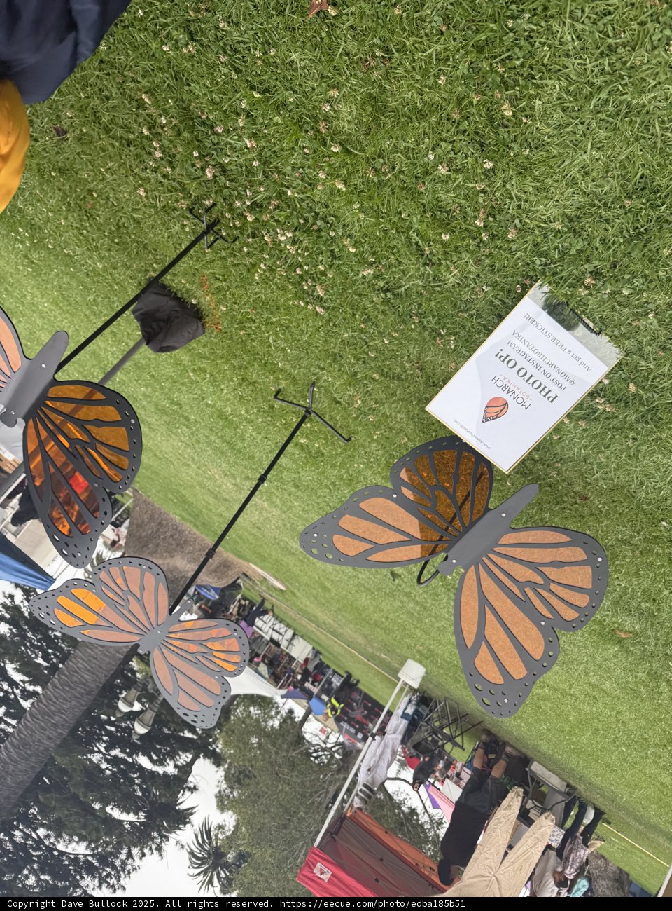 Monarch Moments in Plaza Park