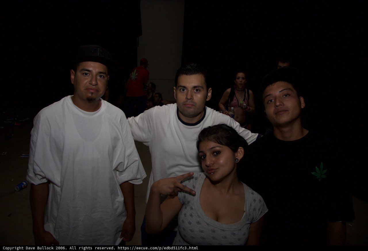 Posed Portrait of Four Young Adults