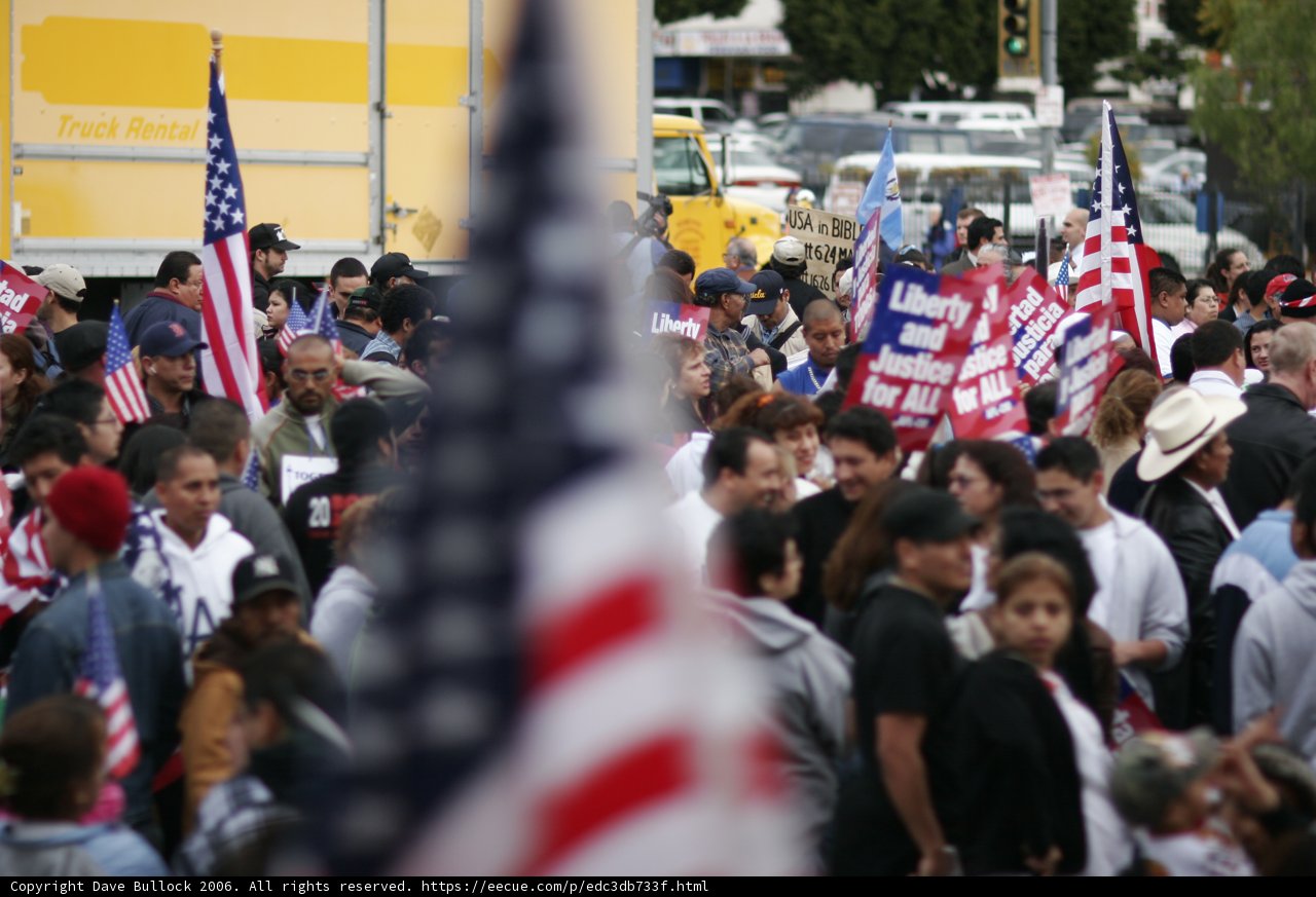 Patriotic Crowd