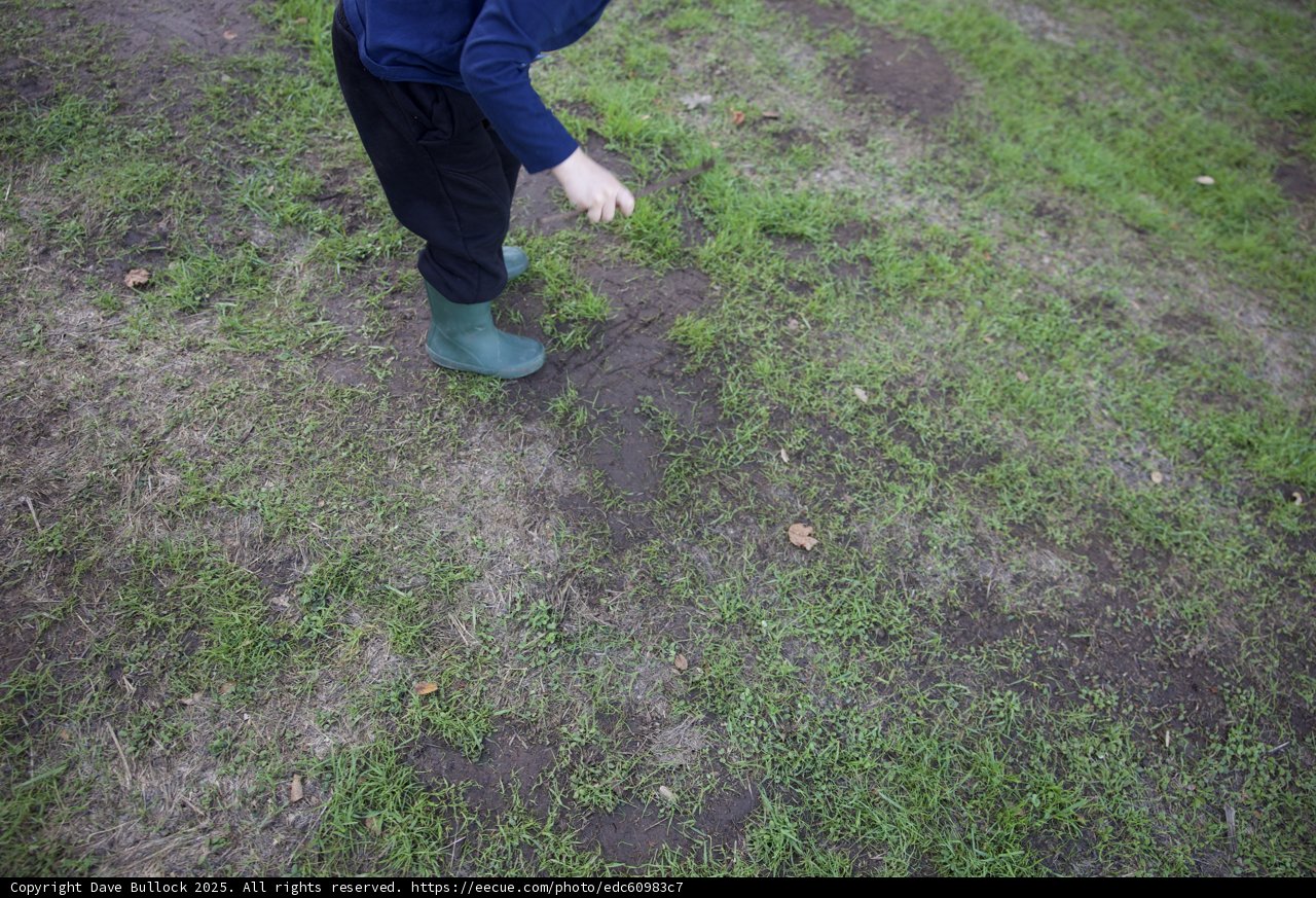 Exploring Nature at Thistlewyck