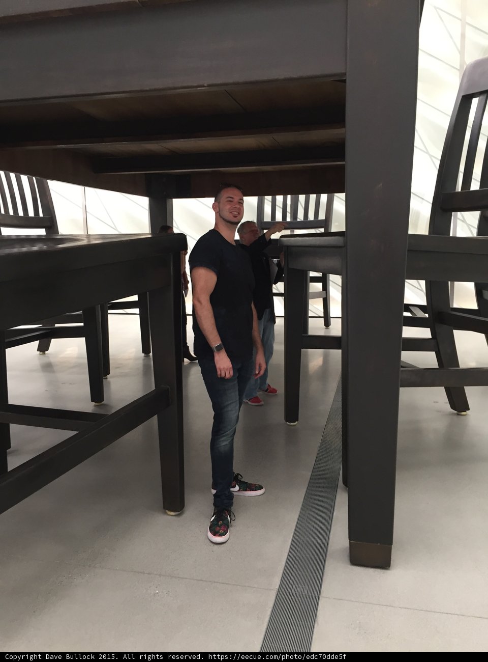 Under the Bench
