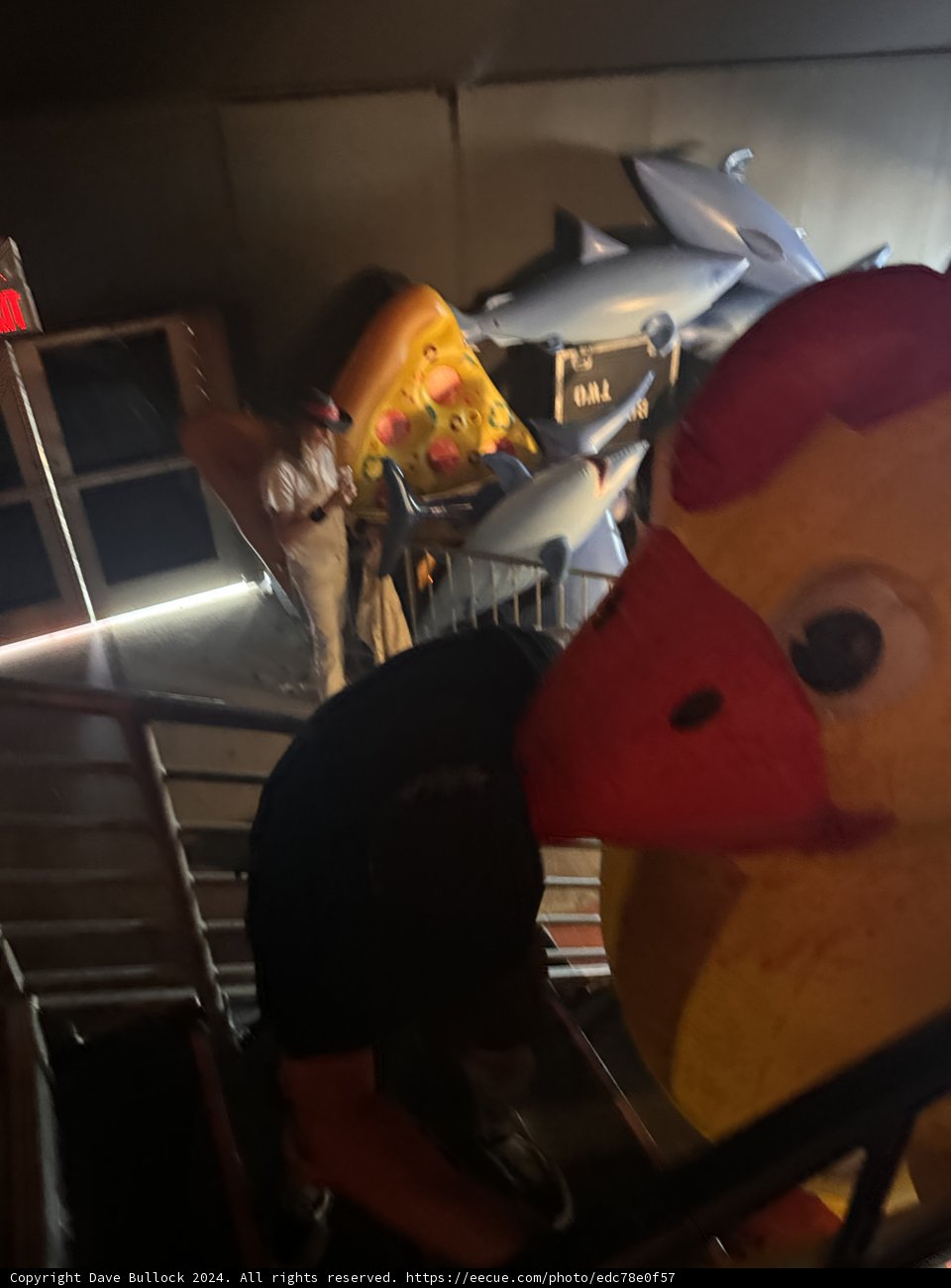 A Coachella Adventure: Navigating Through the Nighttime Crowd