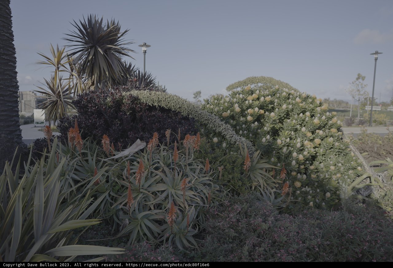 Parking at the Garden Oasis