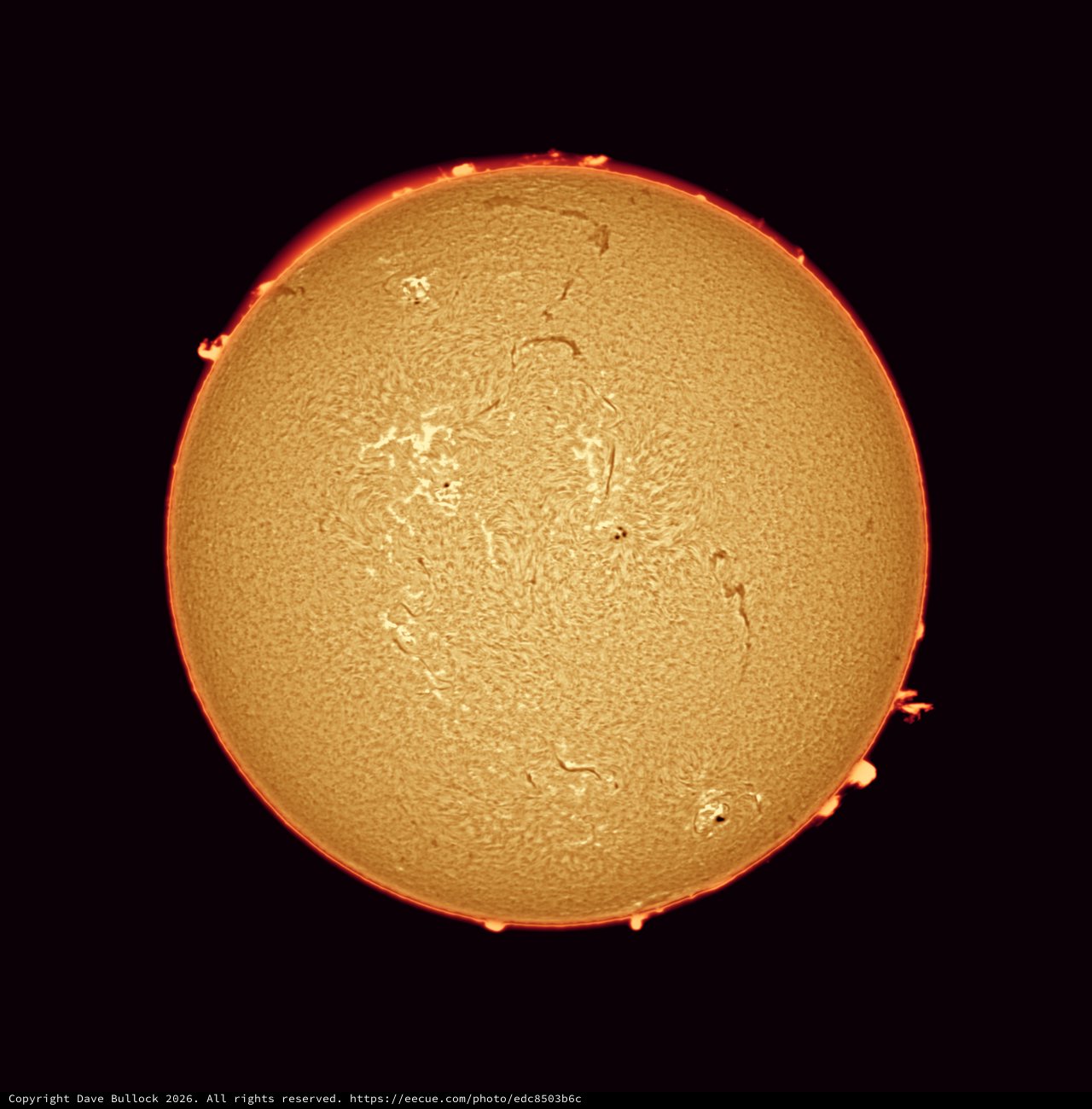 Solar Chromosphere Revealed in Hydrogen-Alpha Light
