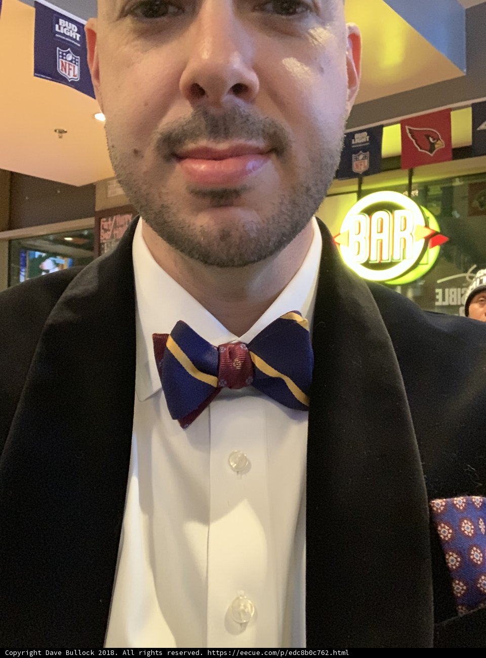 Classy Bow Tie