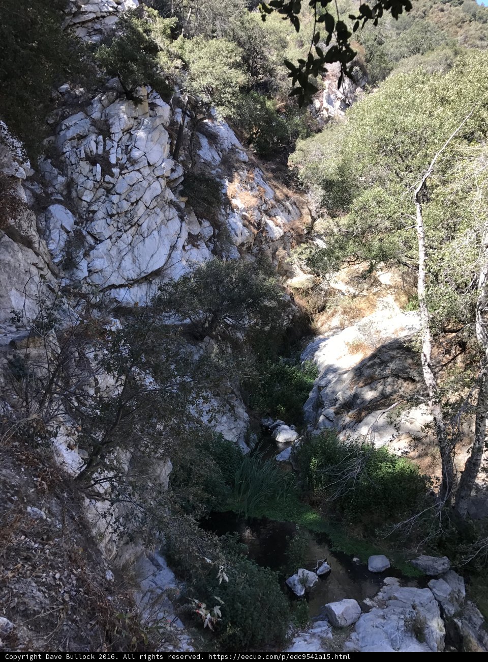 Canyon Creek