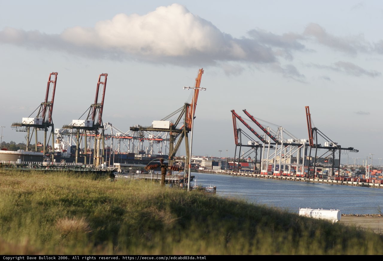 Busy Harbor