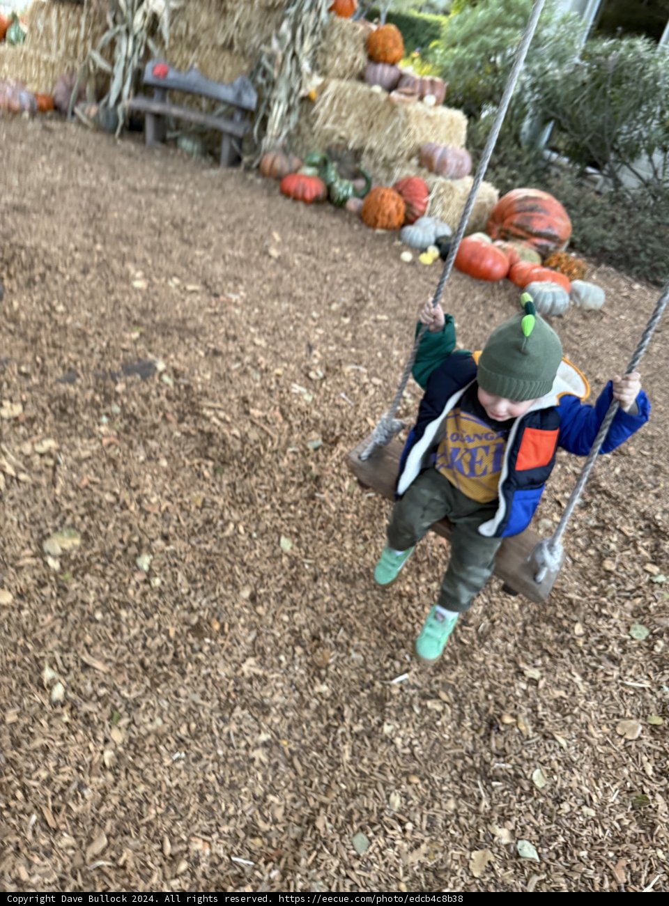 Autumn Adventures