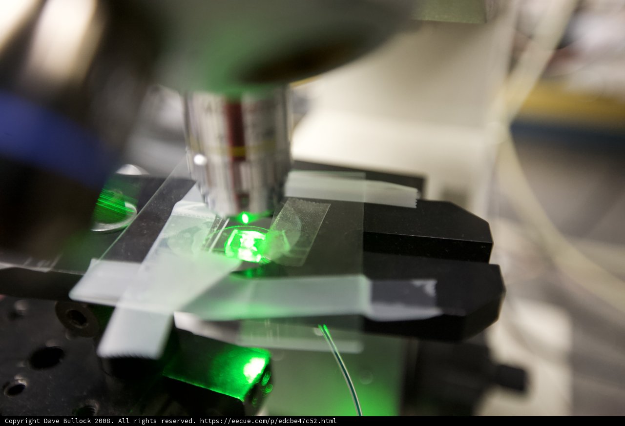 Illuminating the Microscopic World
