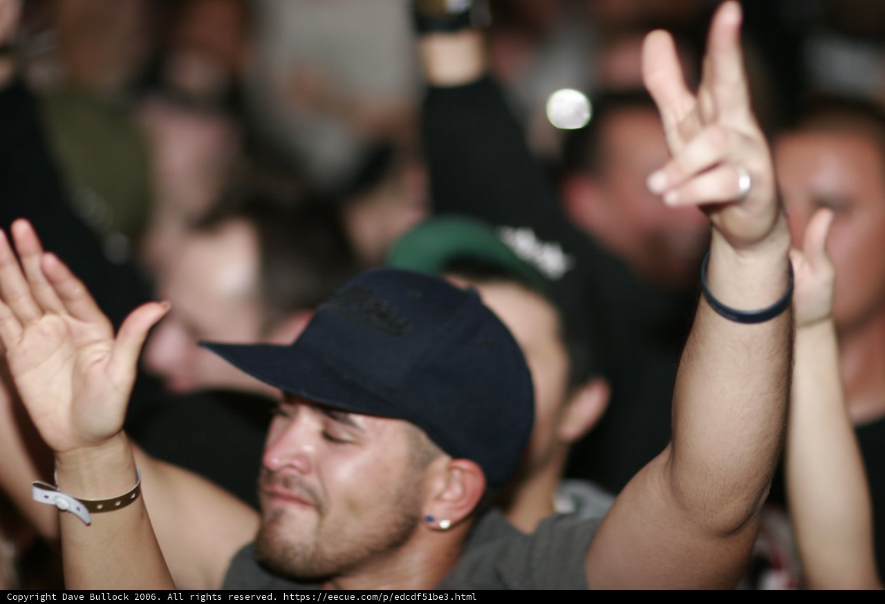 Hands Up in Excitement at a Baseball Game
