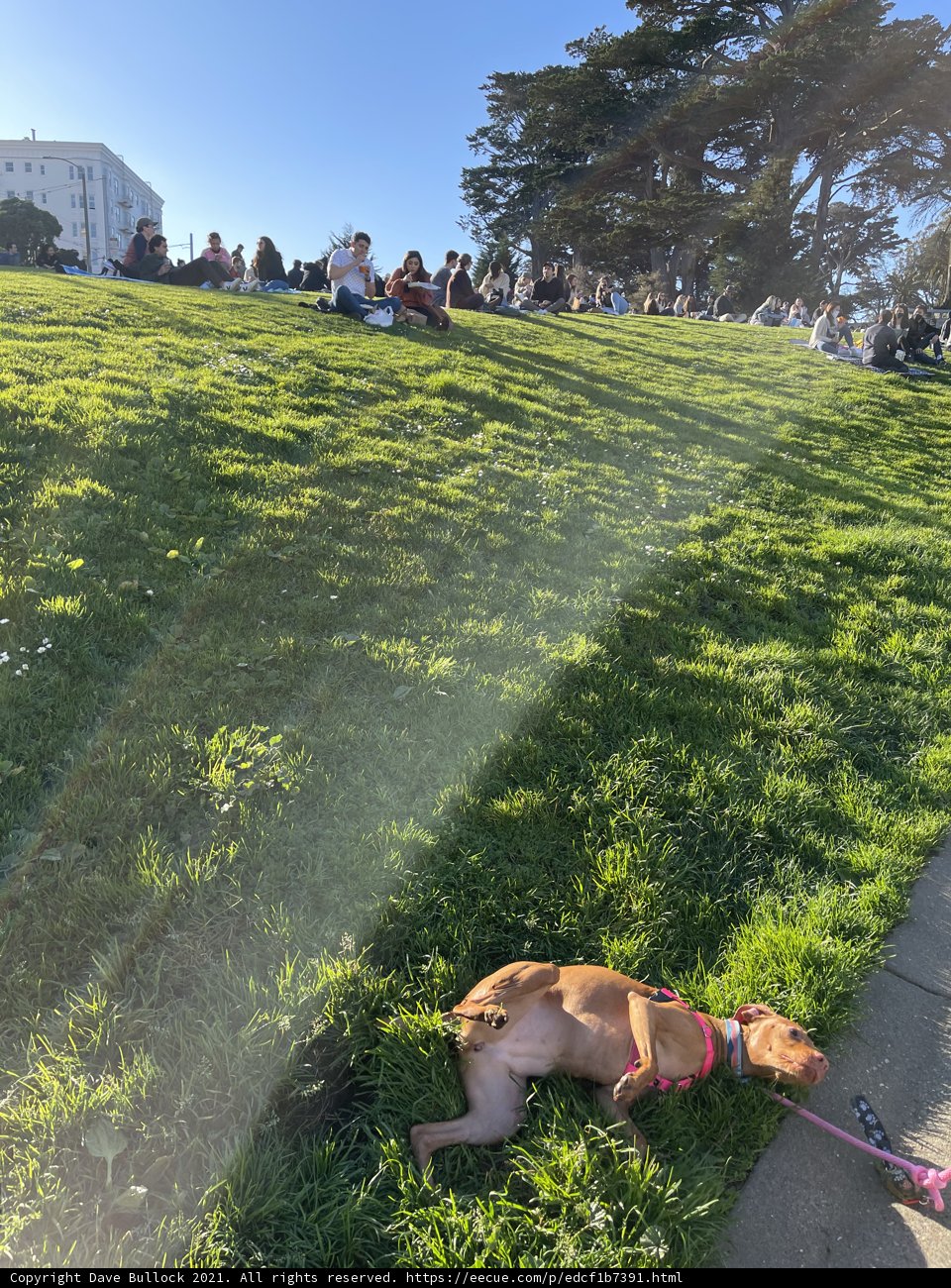 Relaxing with my furry friend