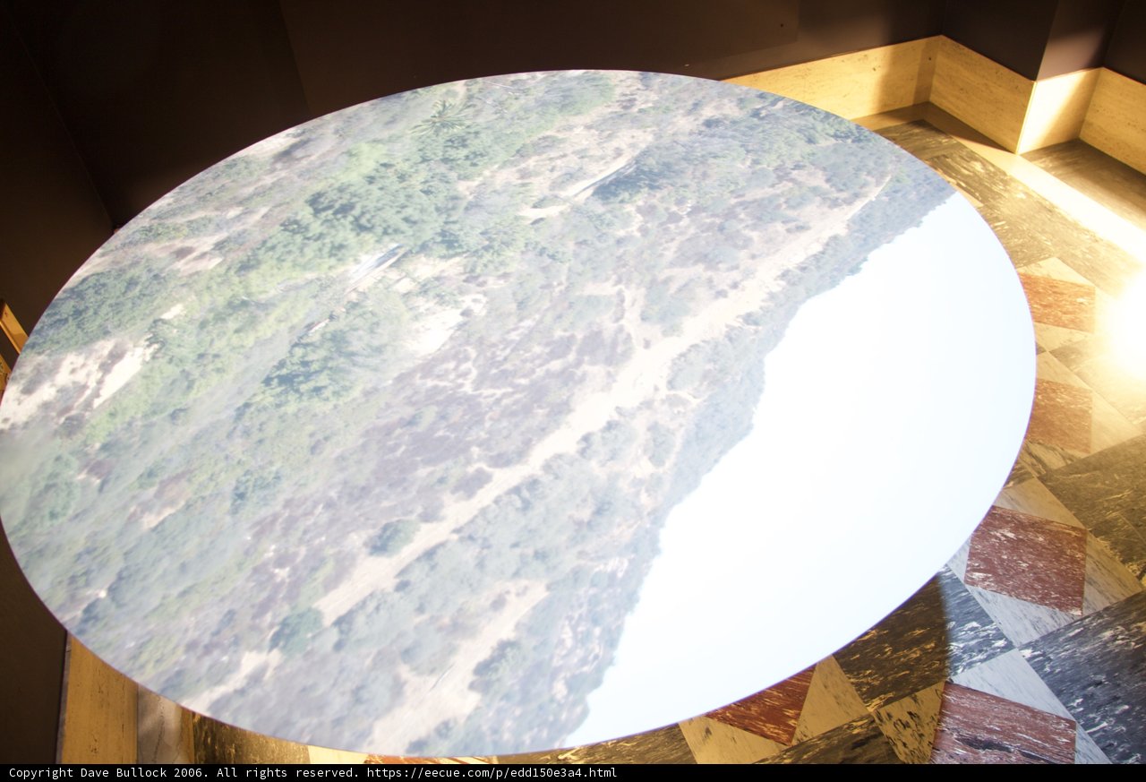 The Forest View Tabletop