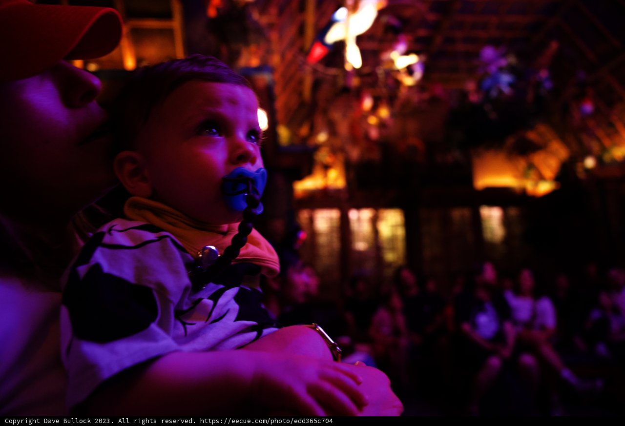 A Magical Night at Disneyland with Baby Wes