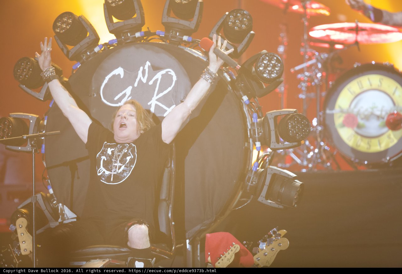 Pure Joy in the Crowd