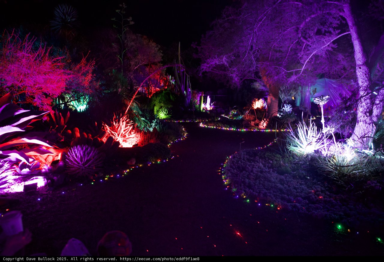 Enchanted Evenings in the Garden