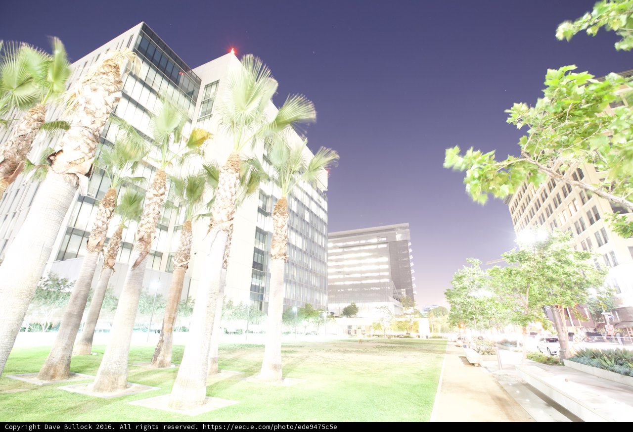 Nighttime Oasis in the Metropolis