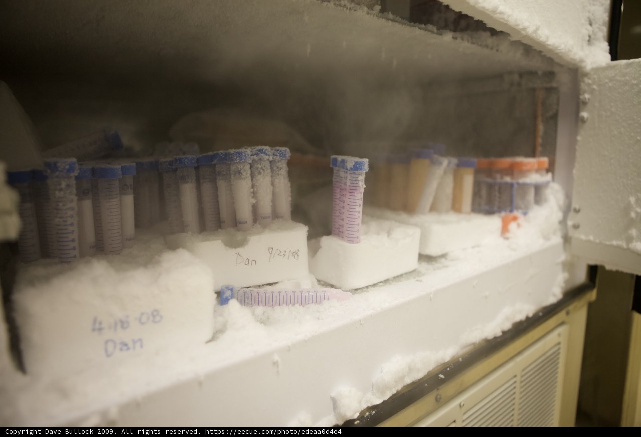 Experimenting in the lab