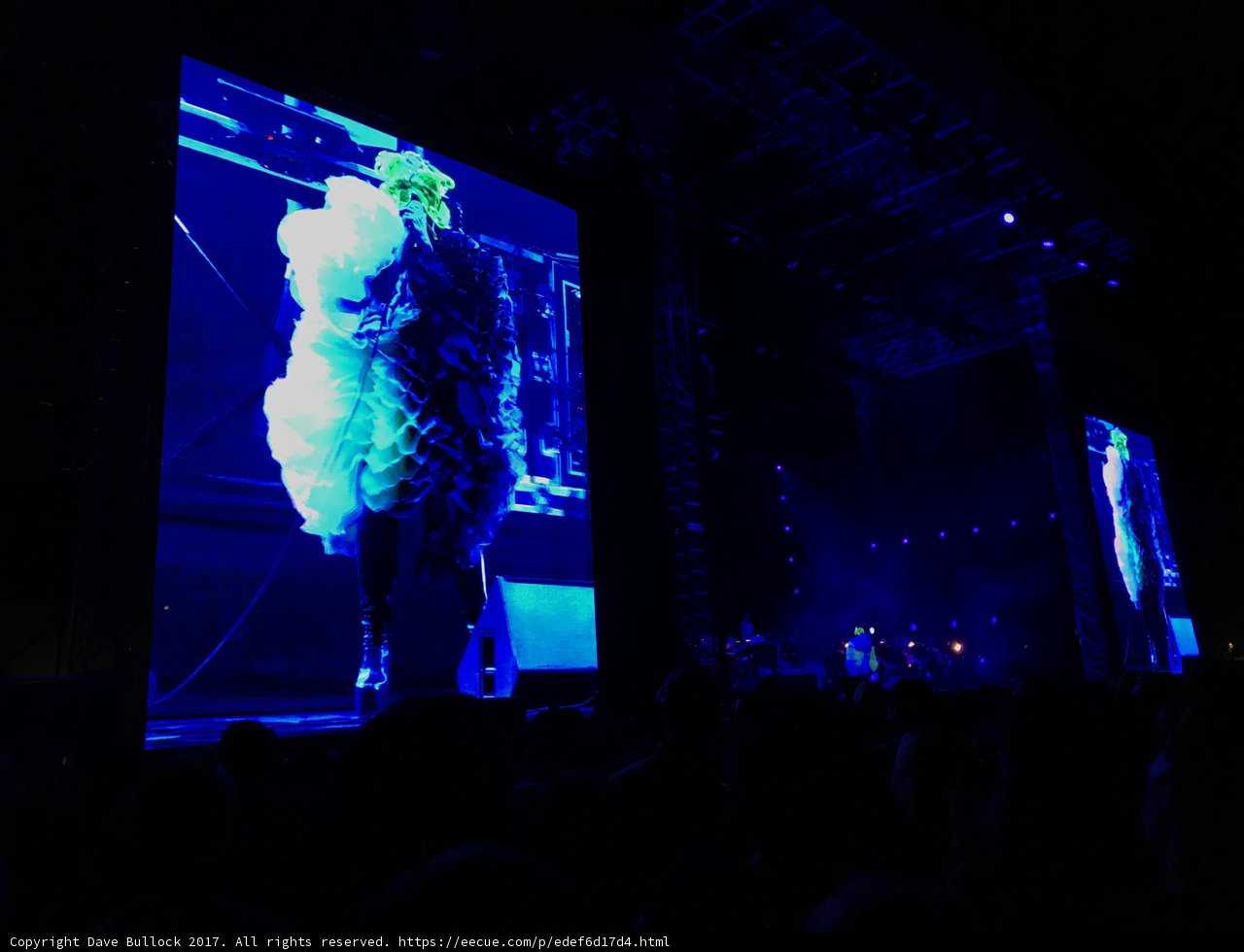 Captivating Concert Performance