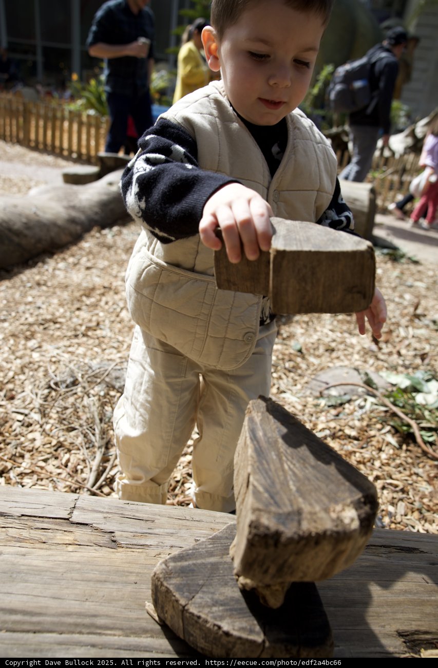 Little Architect at Play