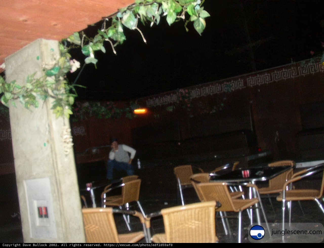 Nighttime Dining