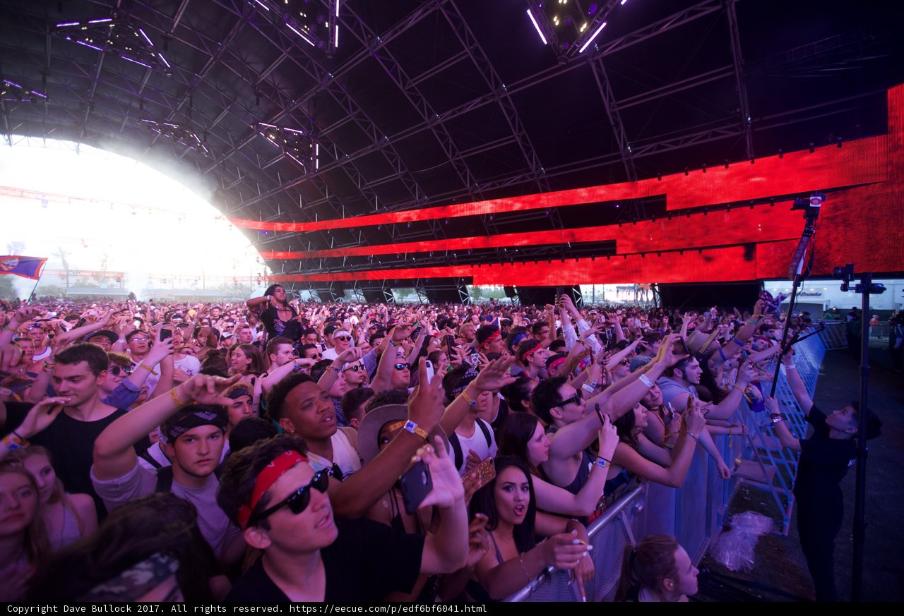 Hands Up in the Crowd