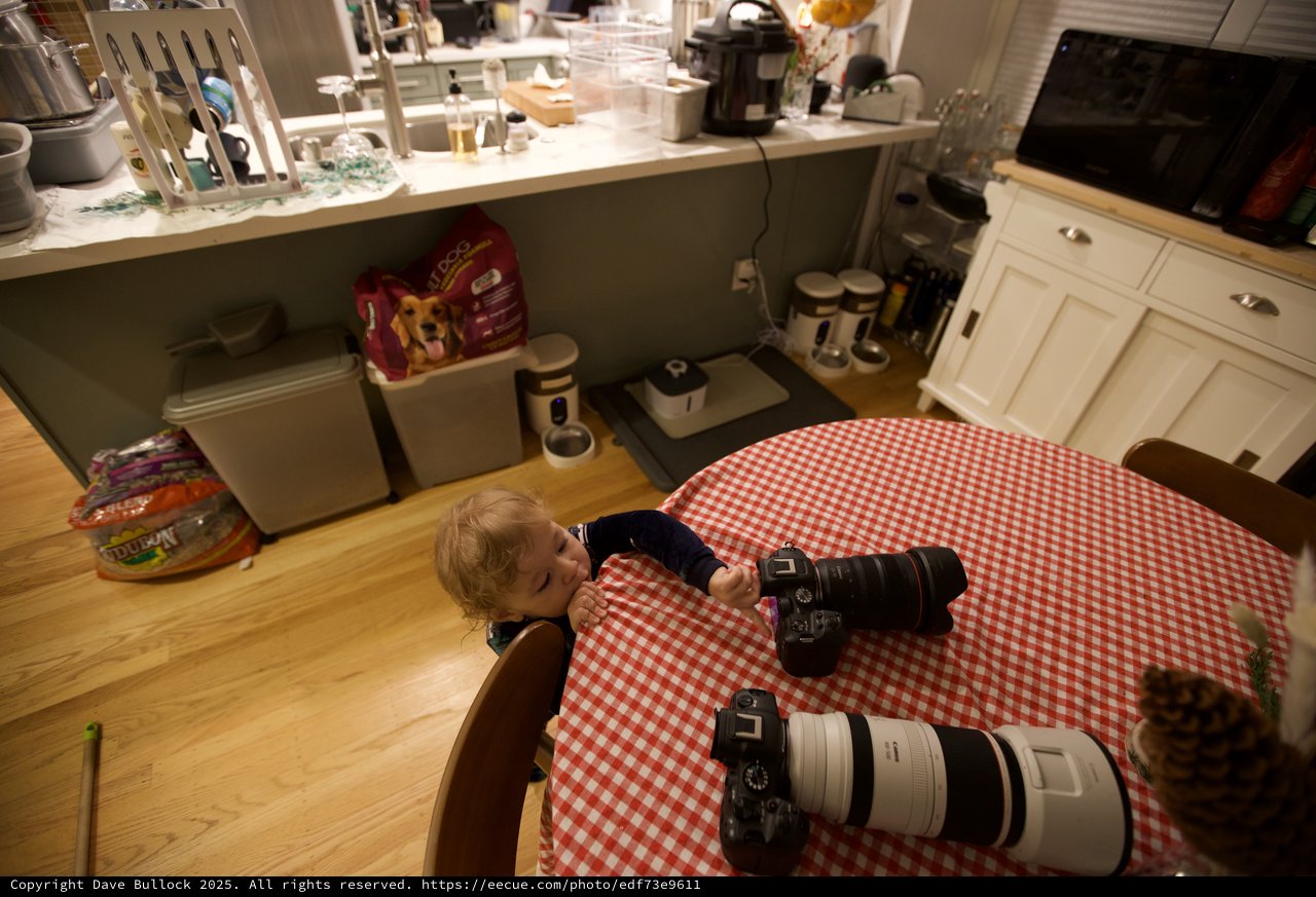 Toddler's Curious Exploration of Photography Equipment at Home