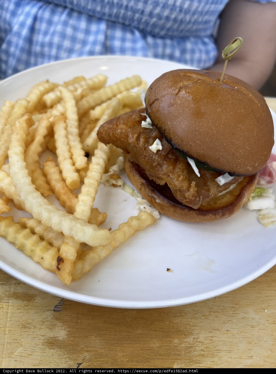 Delicious Hamburger and Fries on Vacation