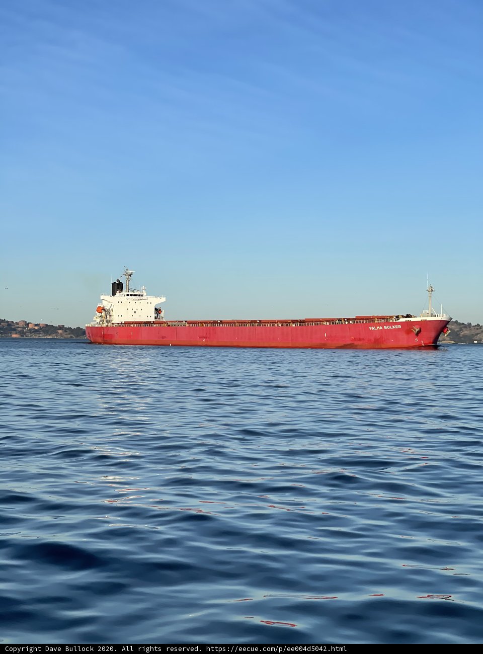 Red Freighter Navigating San Francisco Bay