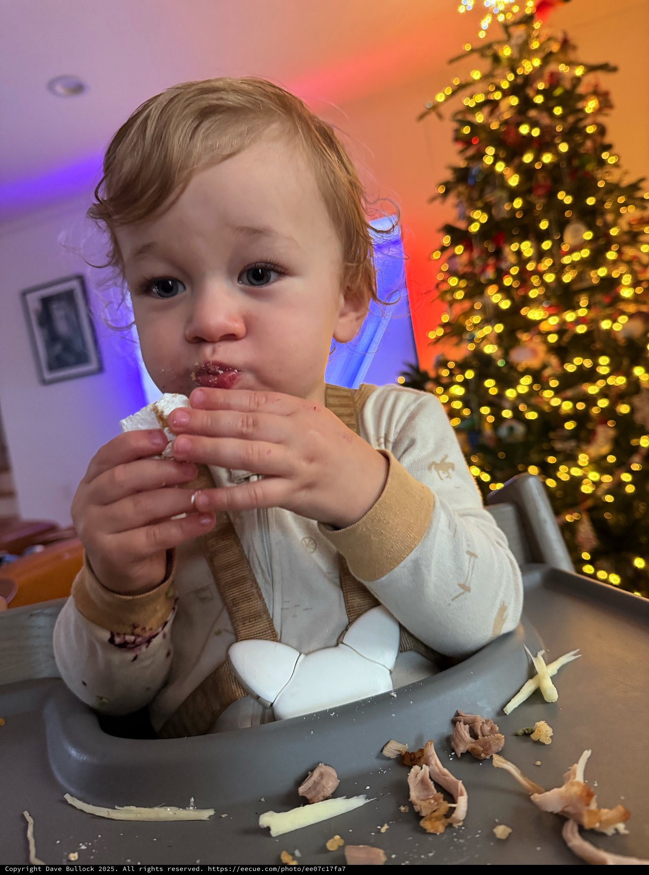 Toddler's Messy Christmas Dessert Moment