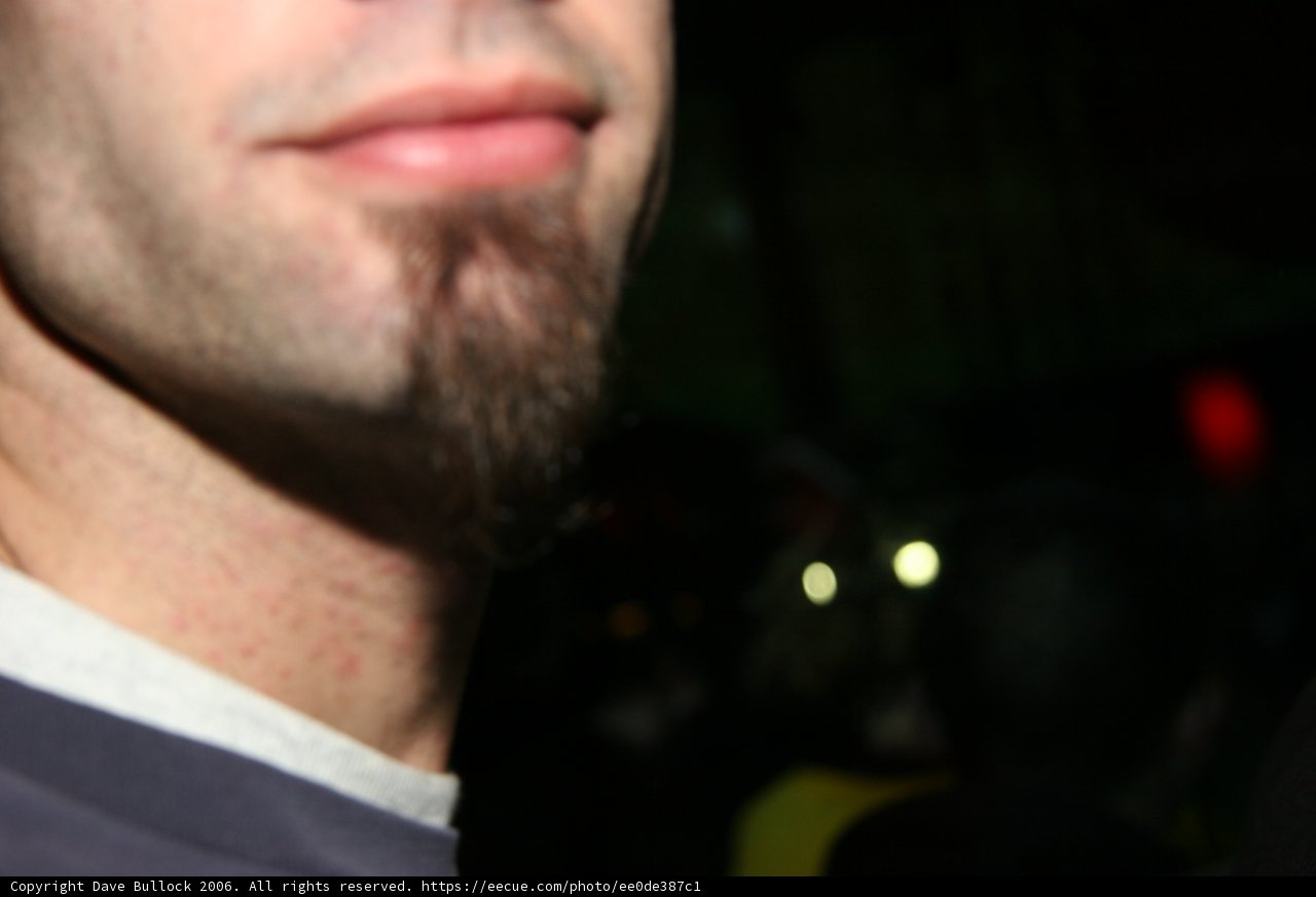 Bearded Warrior