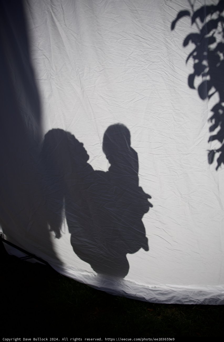 New Shadows of Life