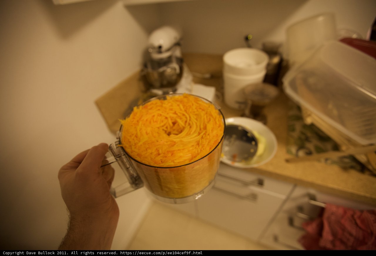 Blender Delight