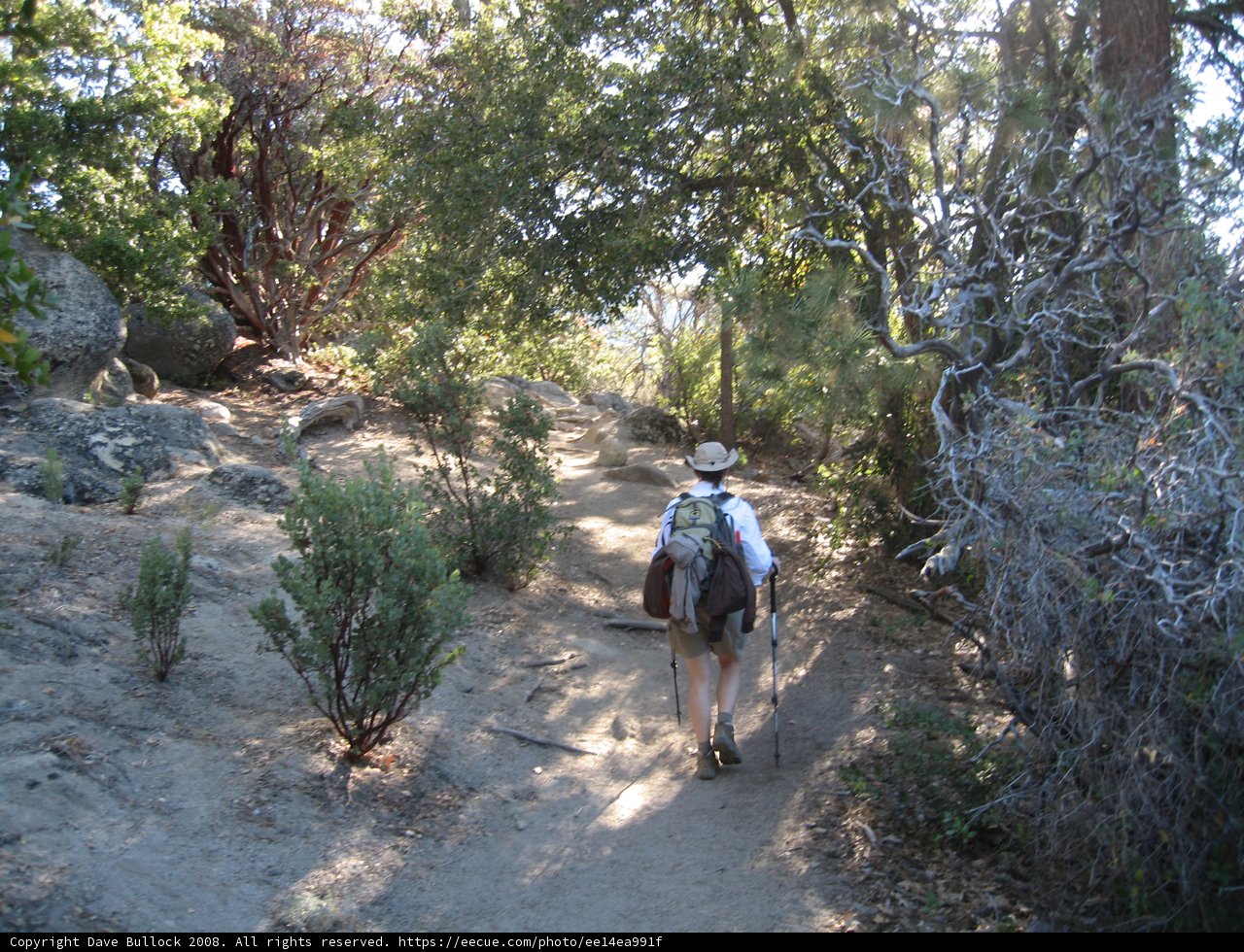 Hiking Adventure in the San Jacinto Wilderness