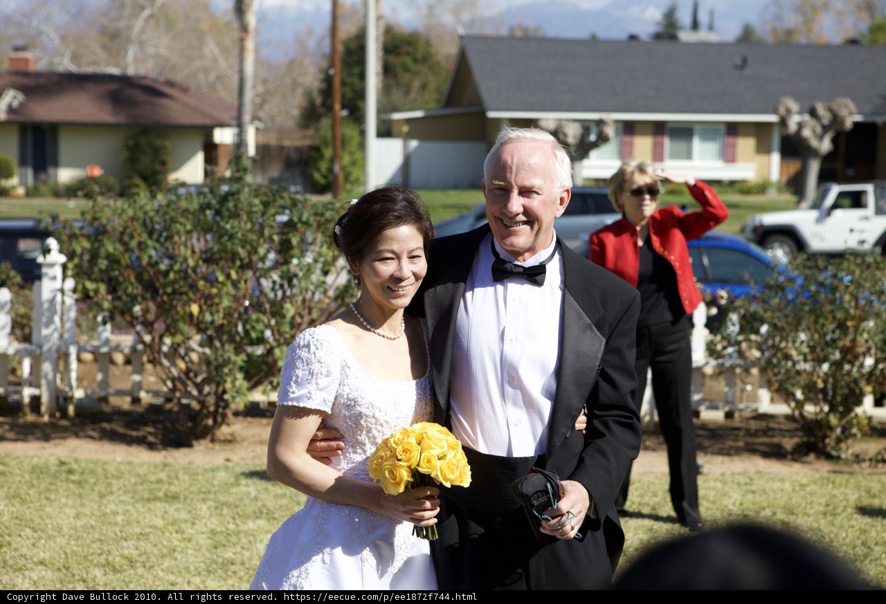 Wedding bliss in formal wear