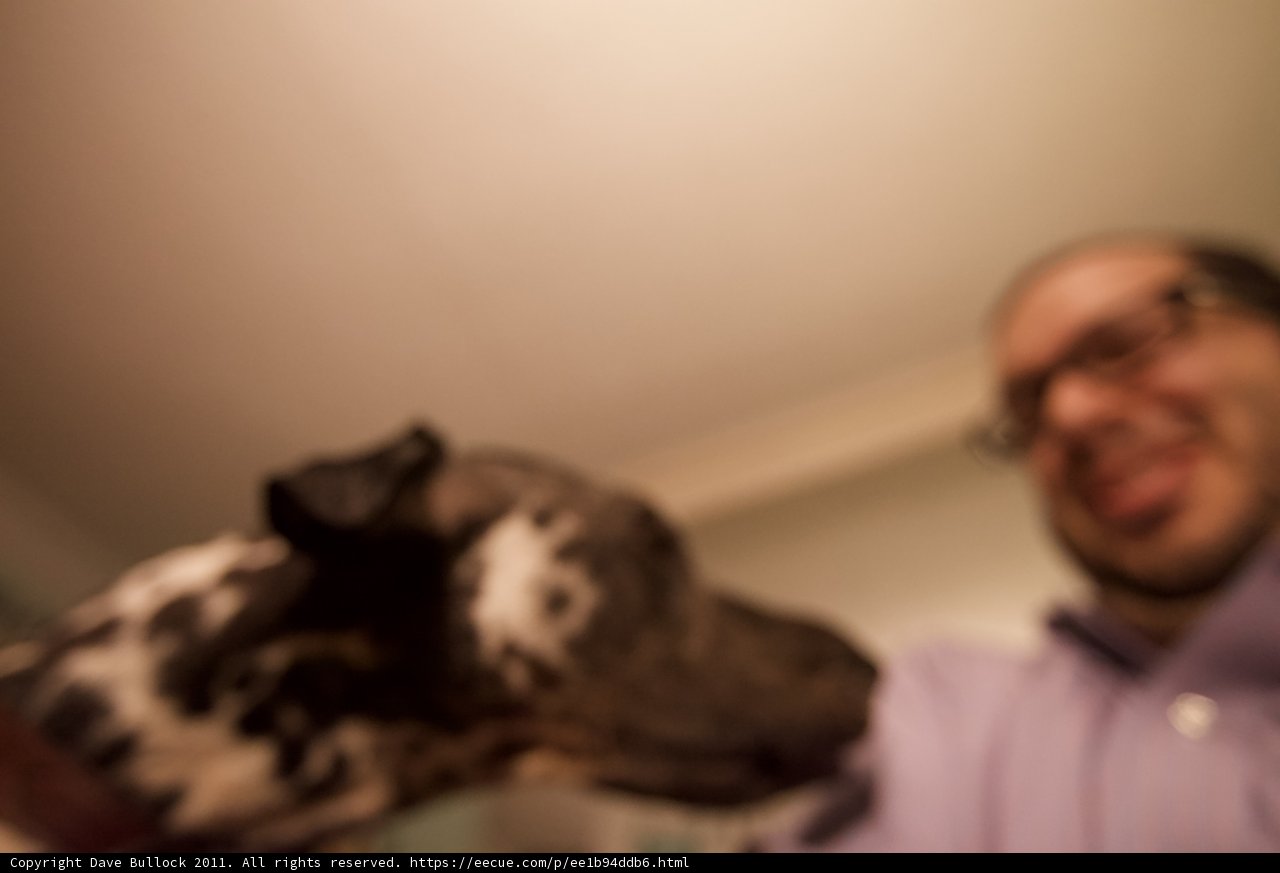 Man and dog bonding