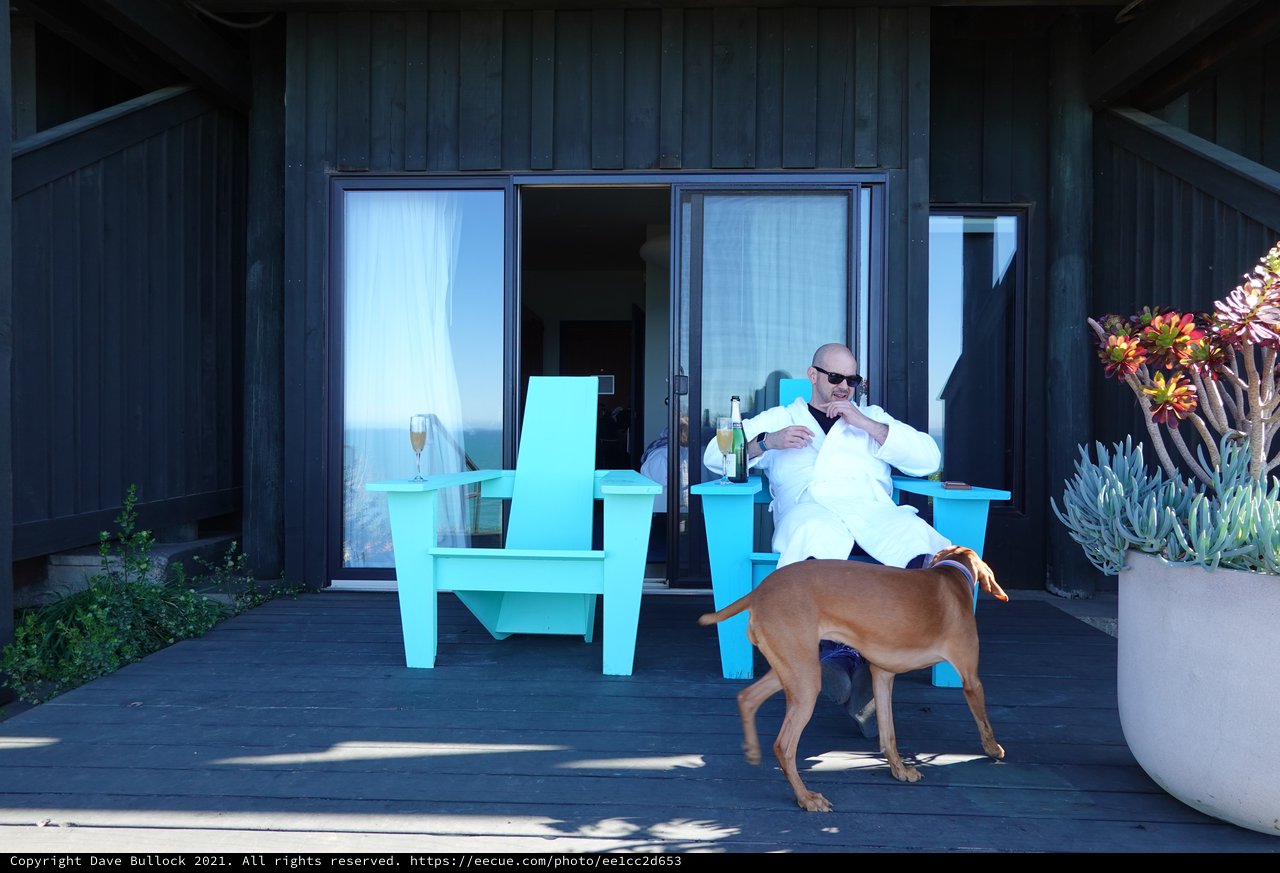 Relaxing on Modern Patio with Dog
