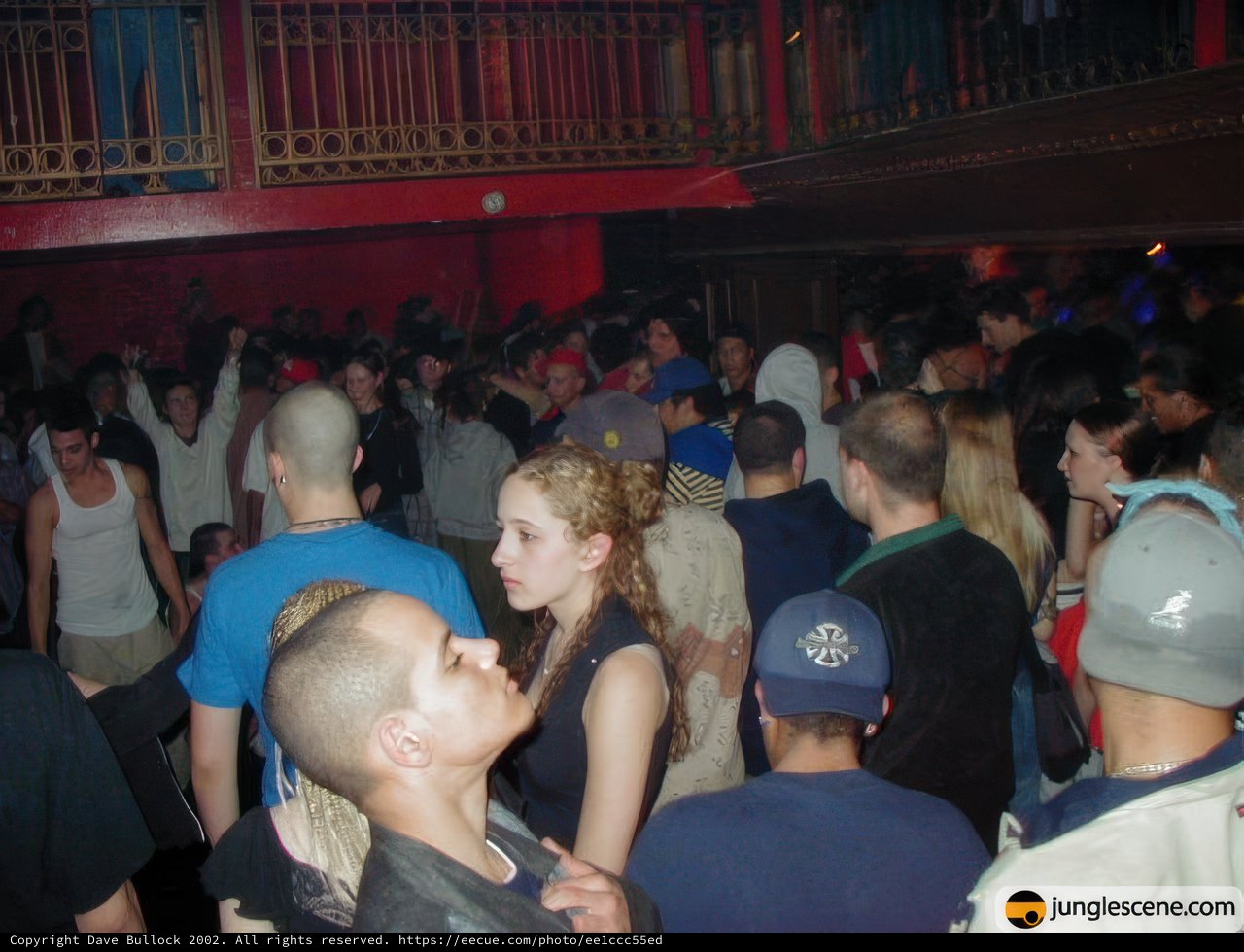 Nightclub Revelry
