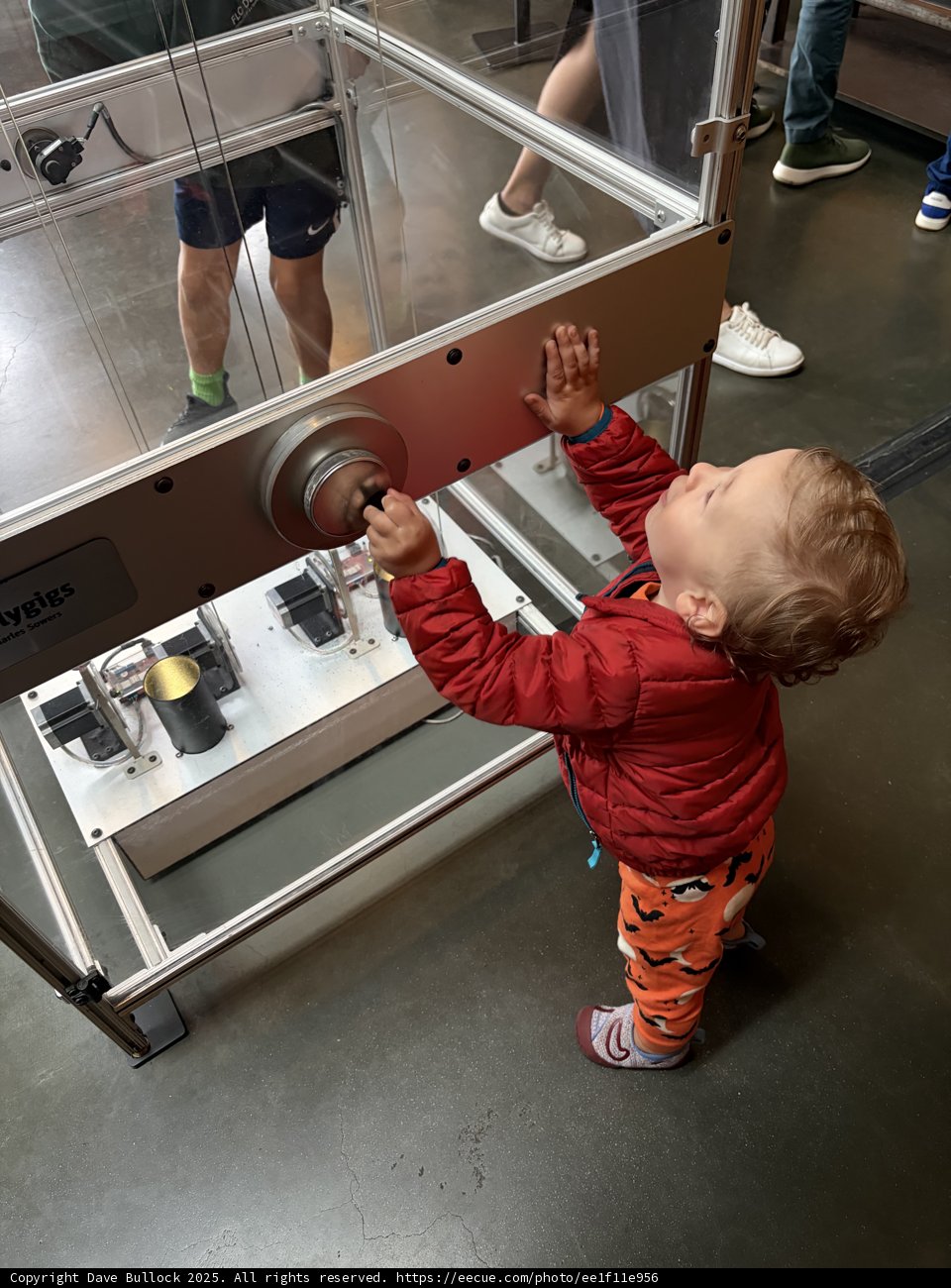 Curious Minds at Play