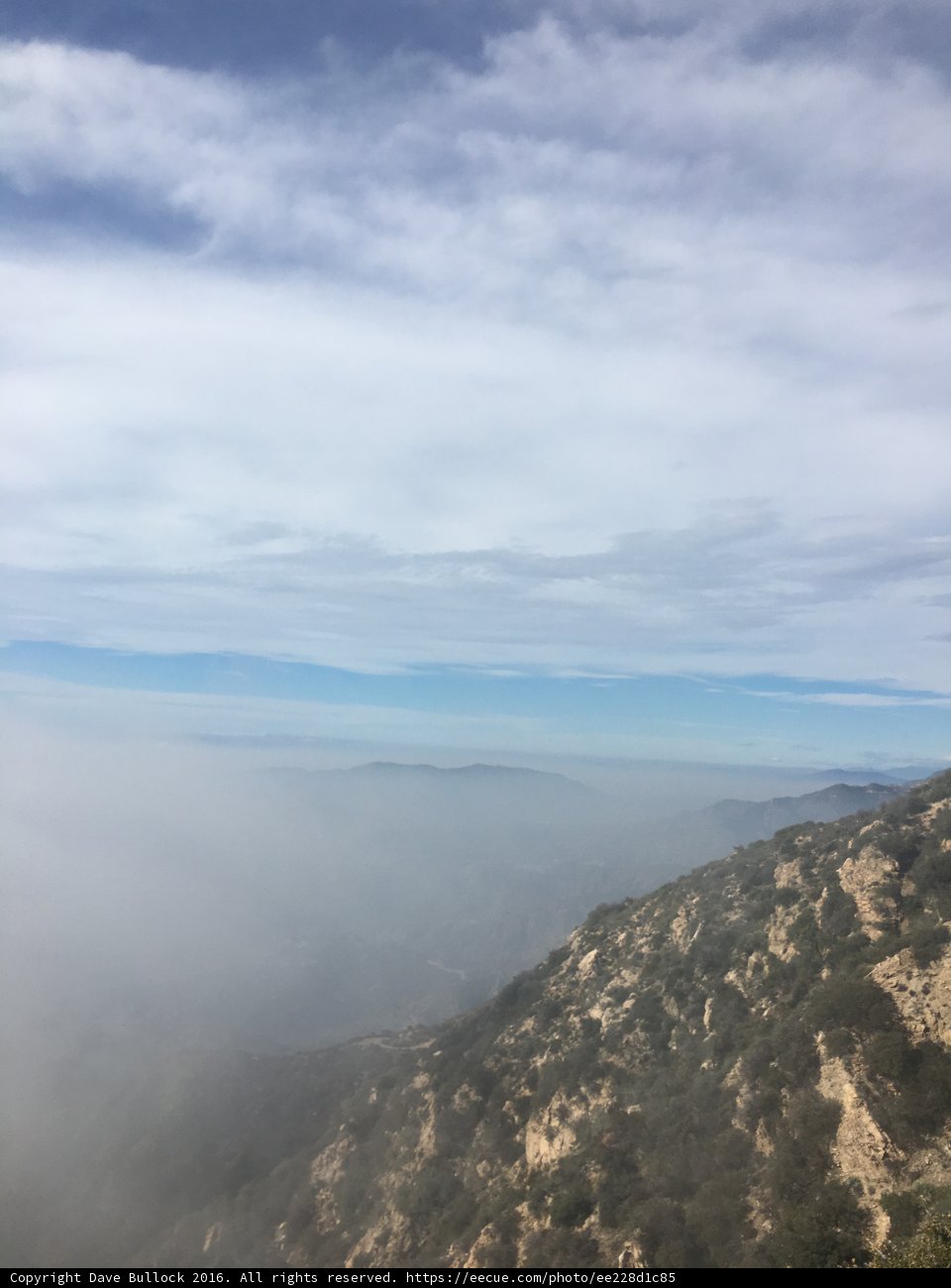 Overlooking the Foggy Ocean