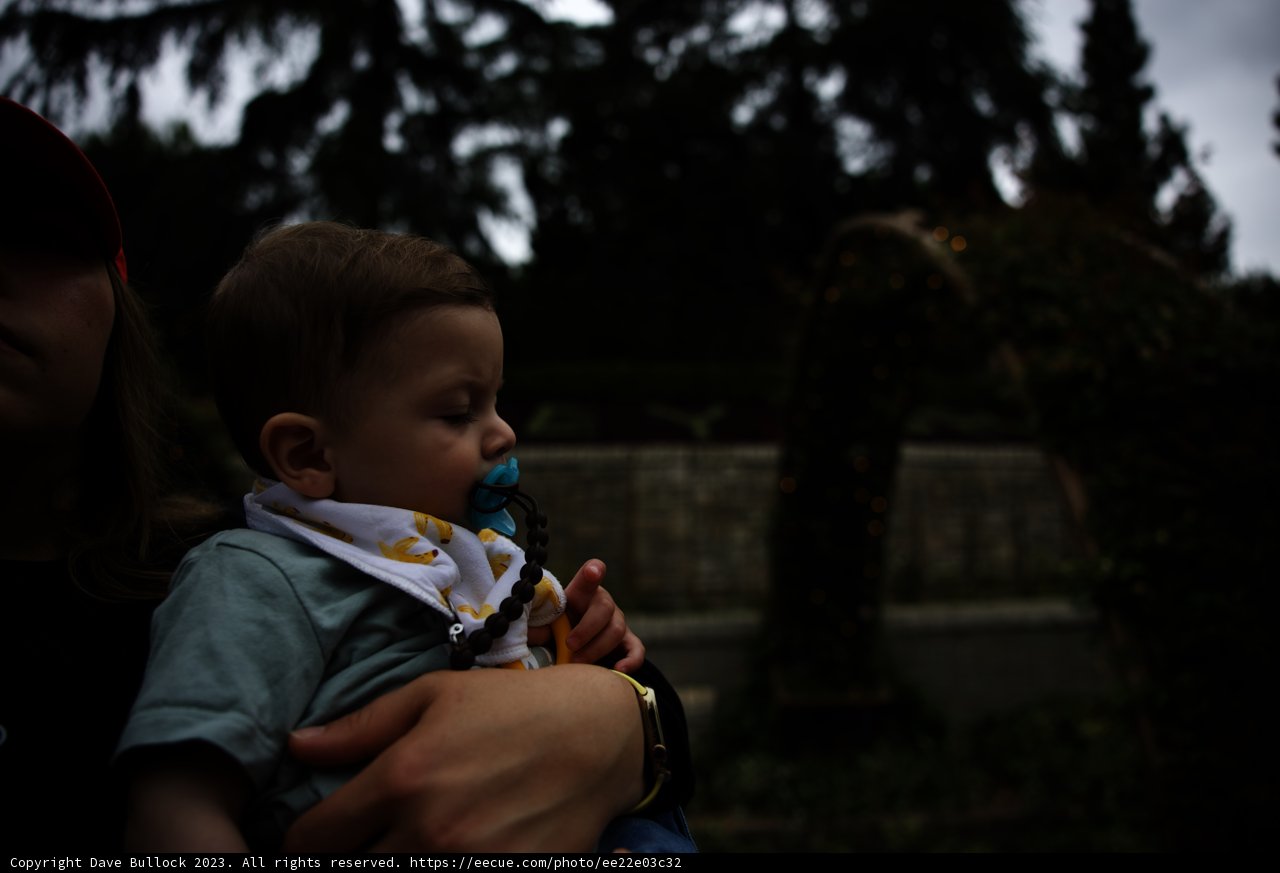 Cherishing Moments at Disneyland