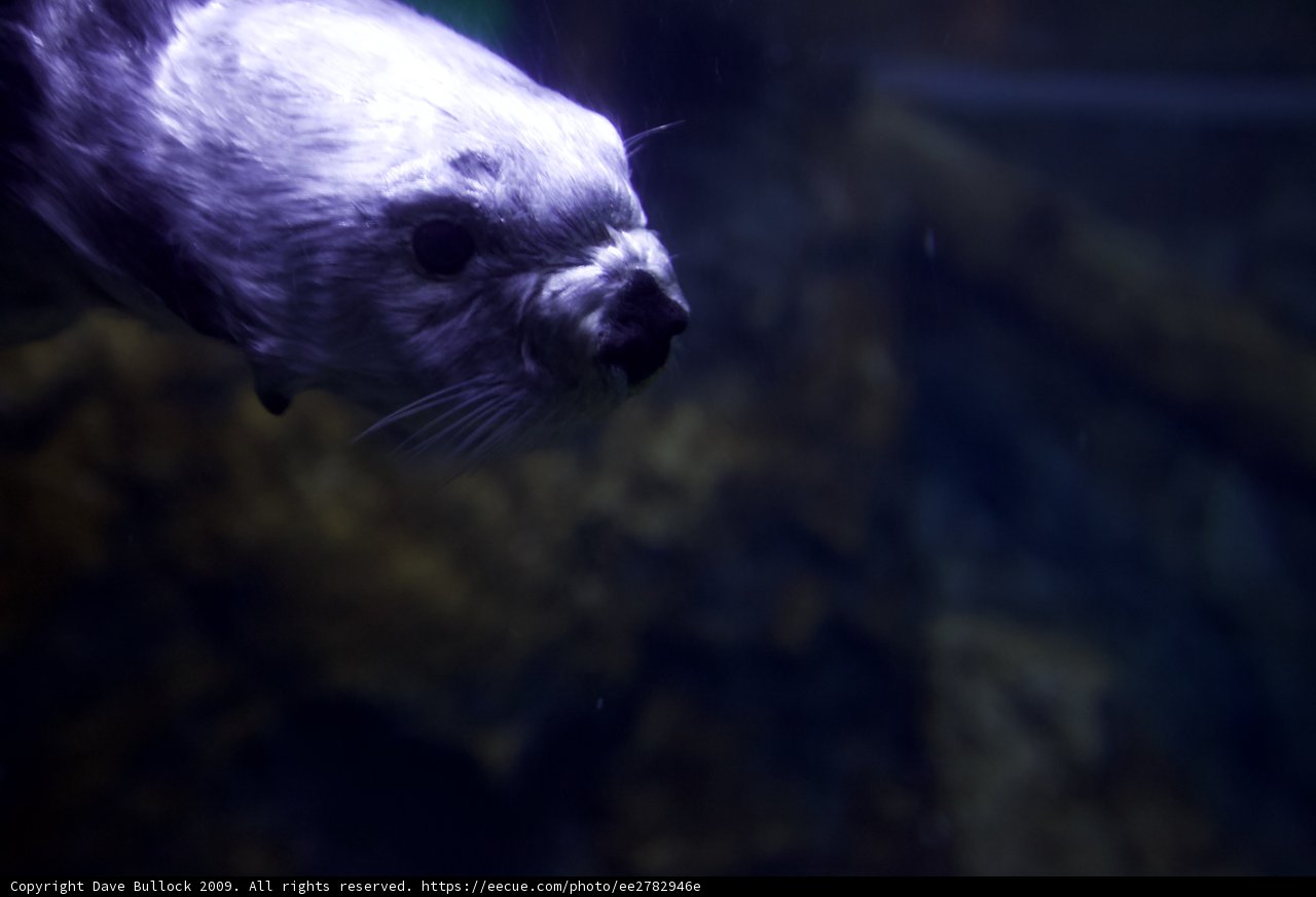 Seal of Approval