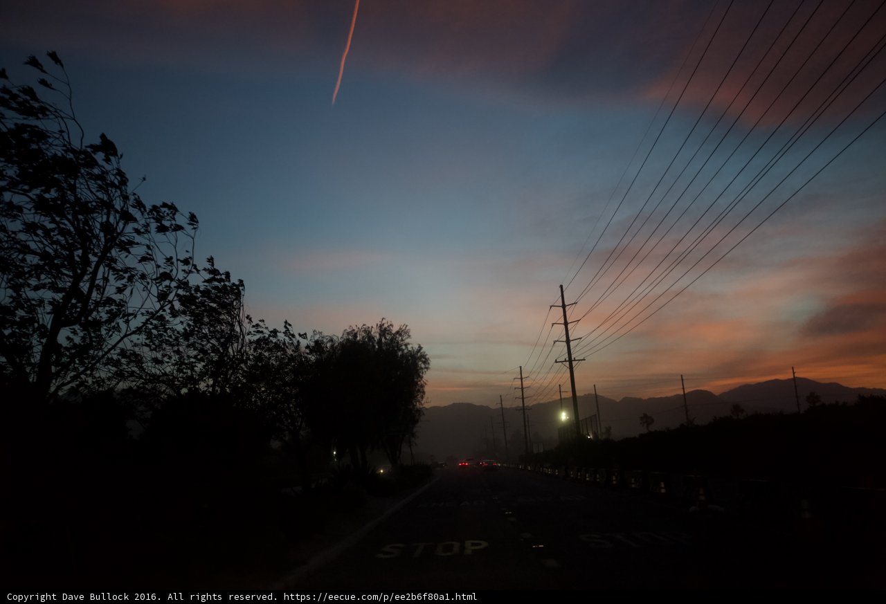 Sunset Flight