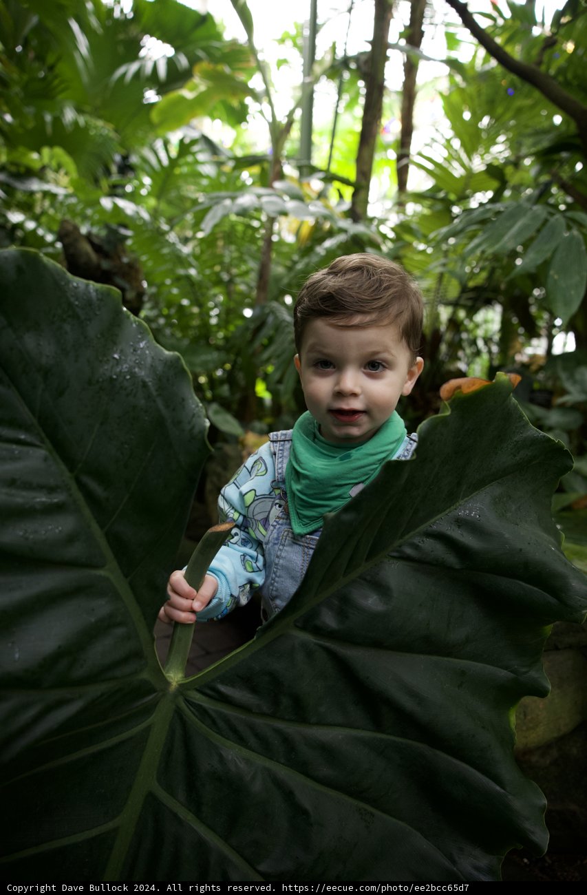 Hide and Seek in the Green