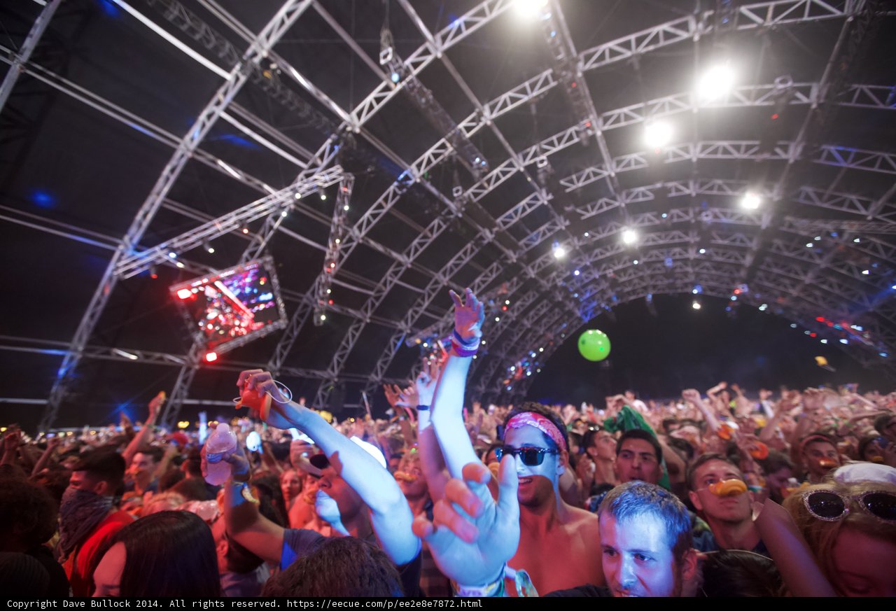 Music Festival Madness