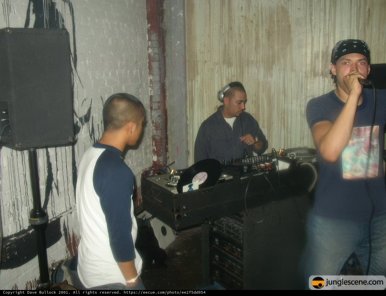 DJ Performance at the Club