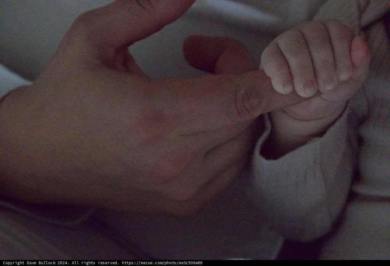 Tiny Grasp, Big Connection